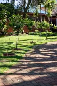 Laerskool Fochville Primary School